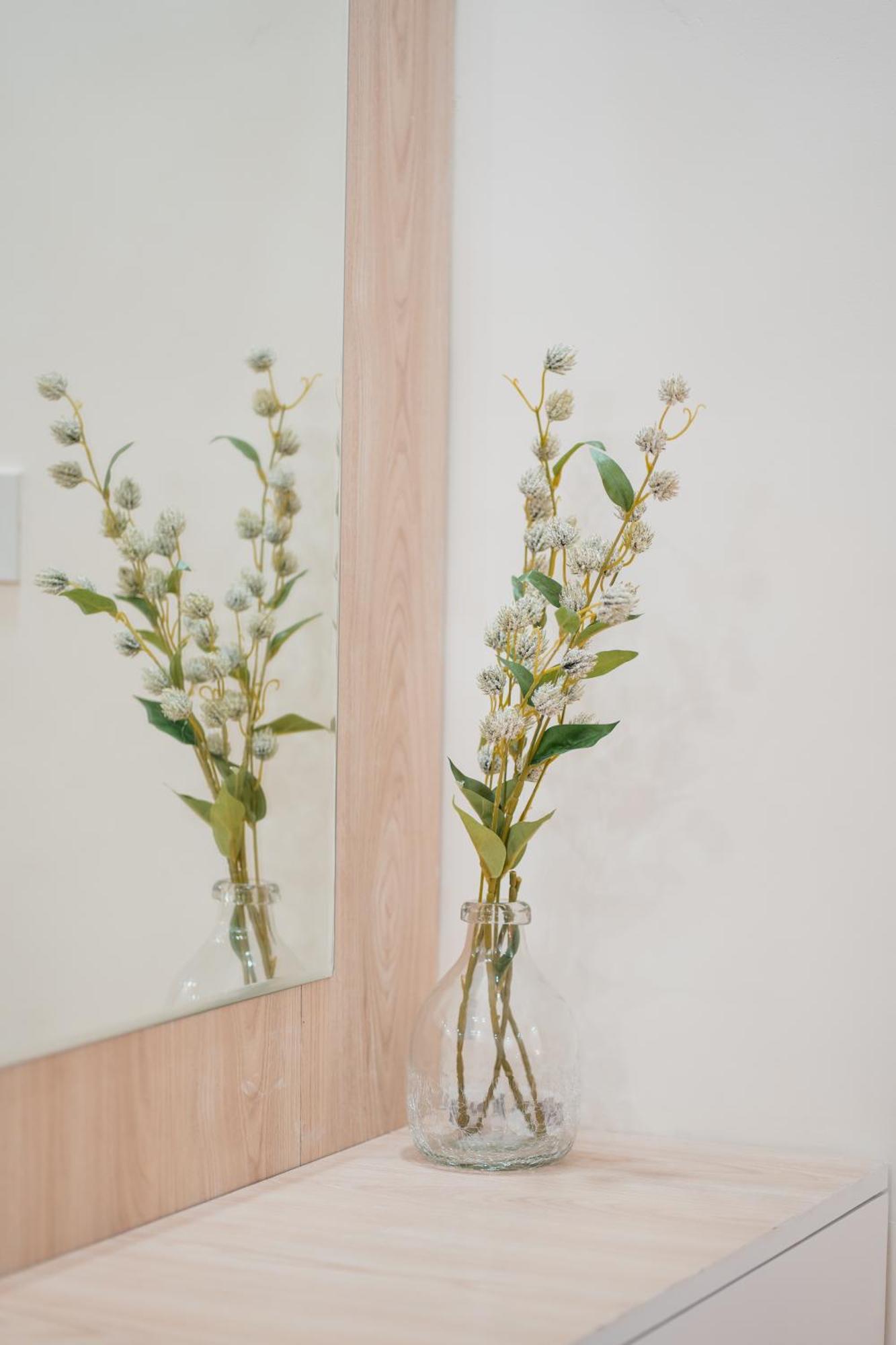 אמריצר Silver Leaf Apartments מראה חיצוני תמונה